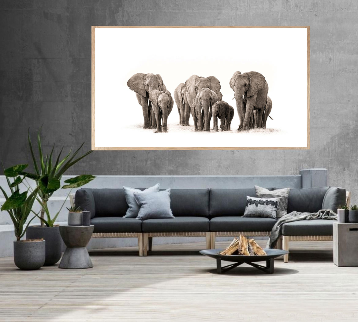 Jackie Wild Photographic Art