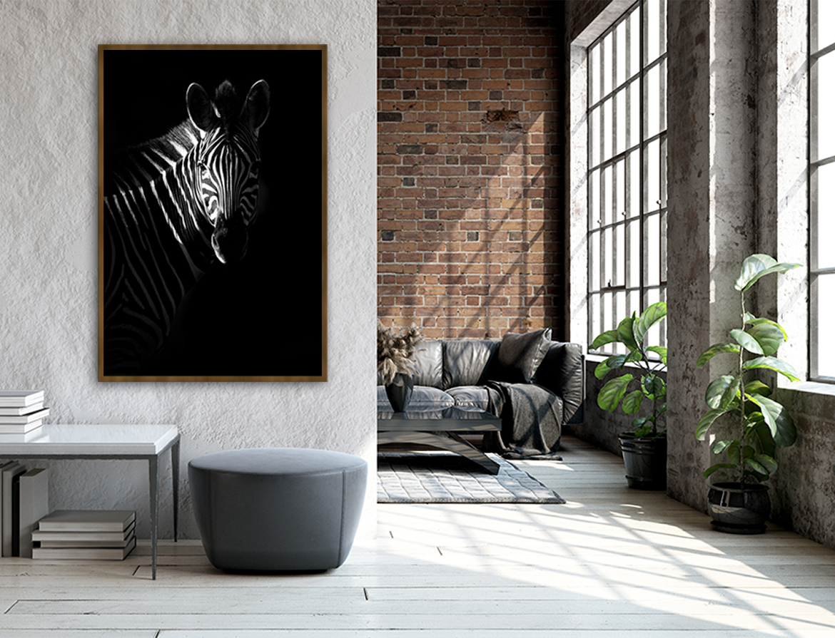 Zebra profile