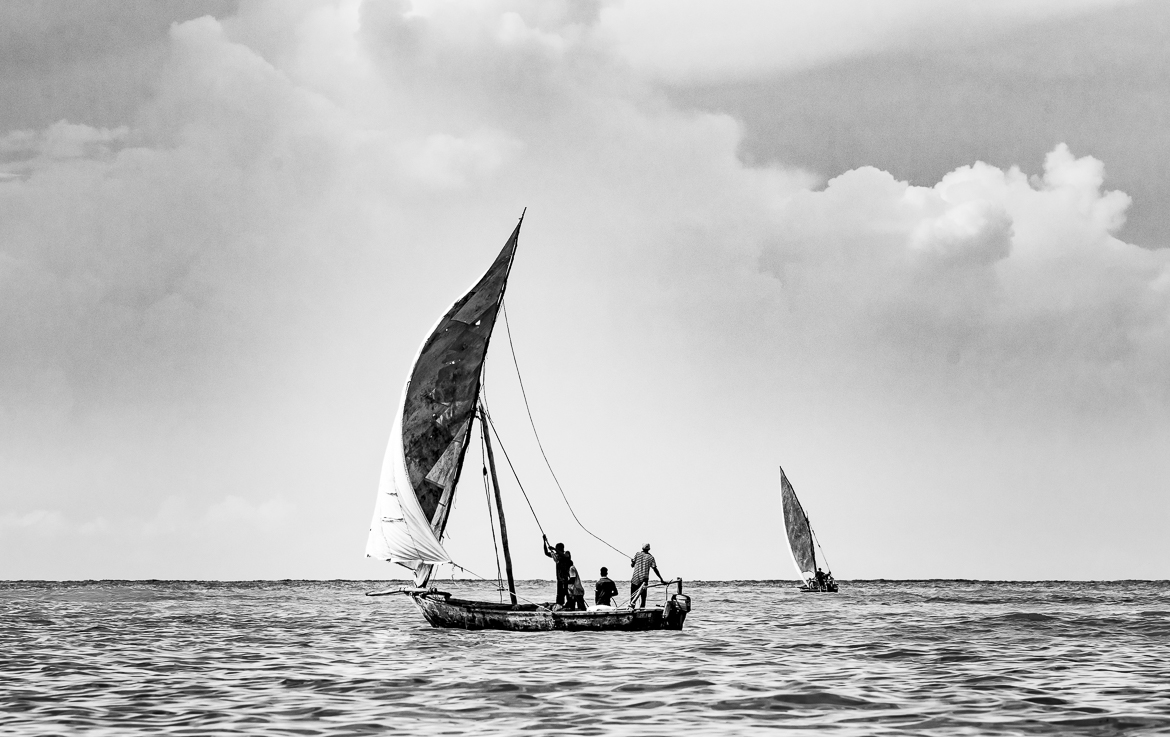 Sail's Up