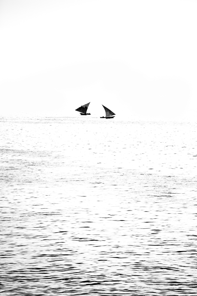 crossing paths