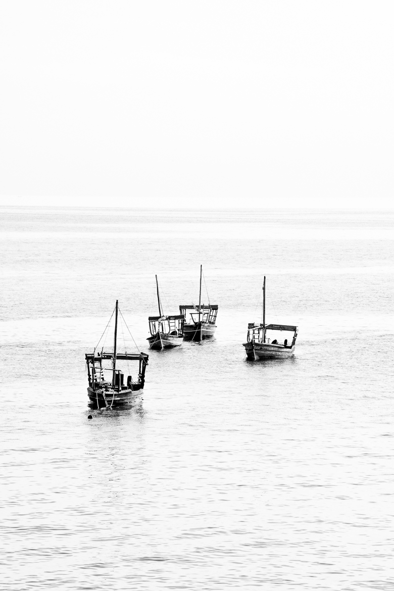 _DSC4780