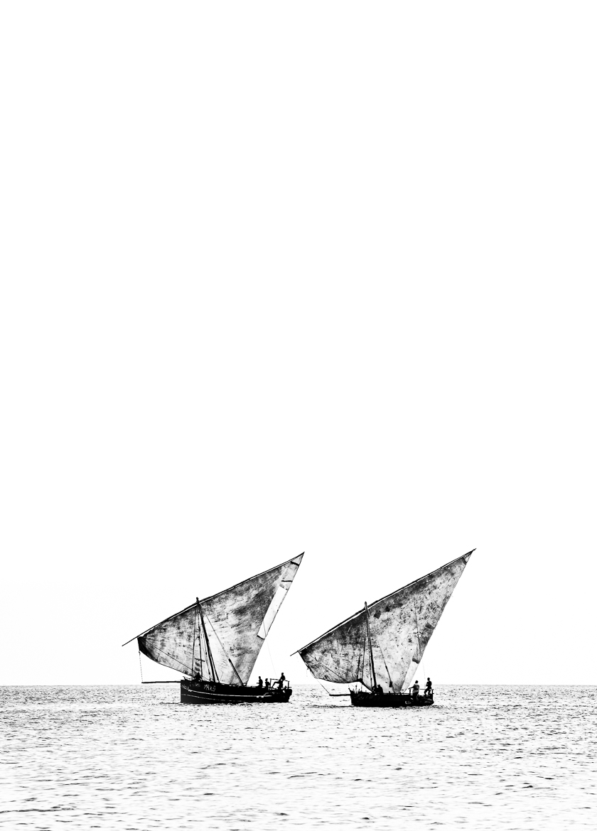 Dhow Journey