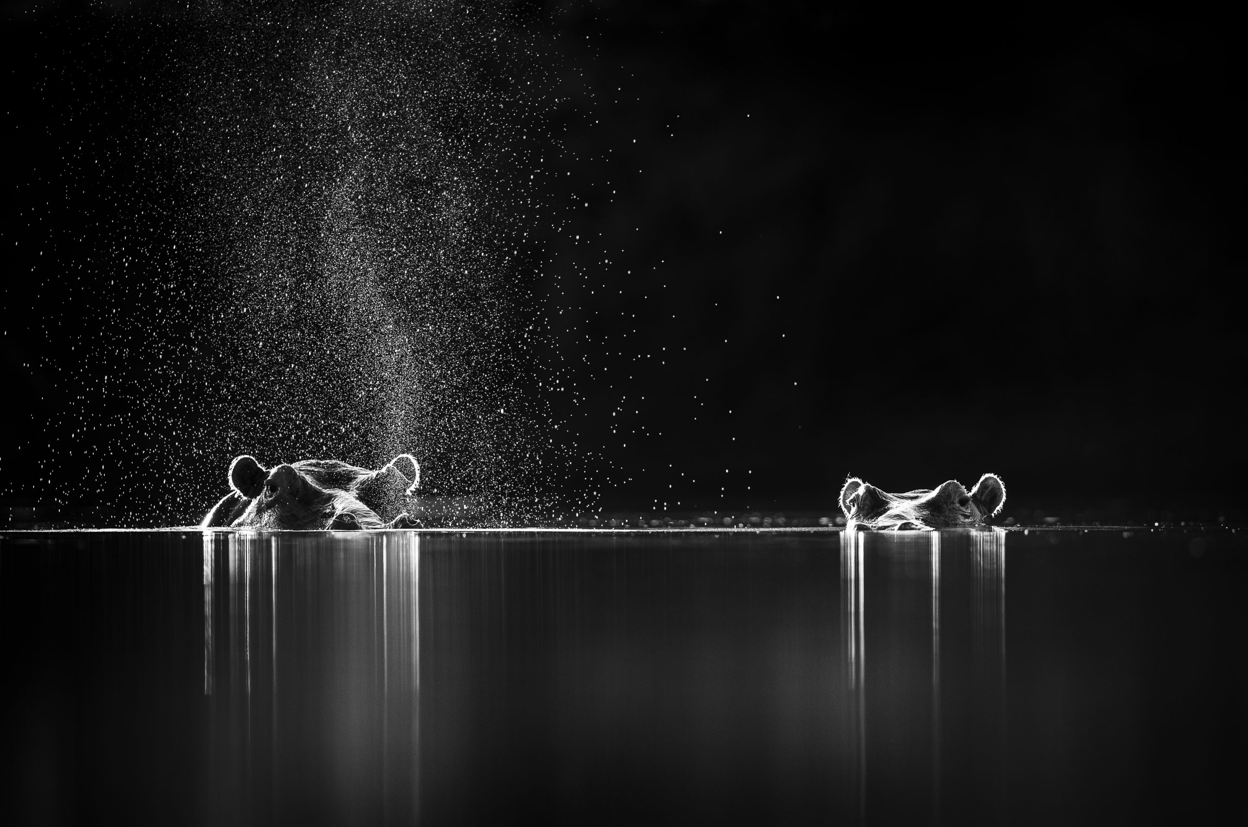 Exhale