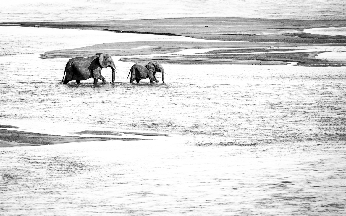 KNPapril2014-0475-Edit-Edit