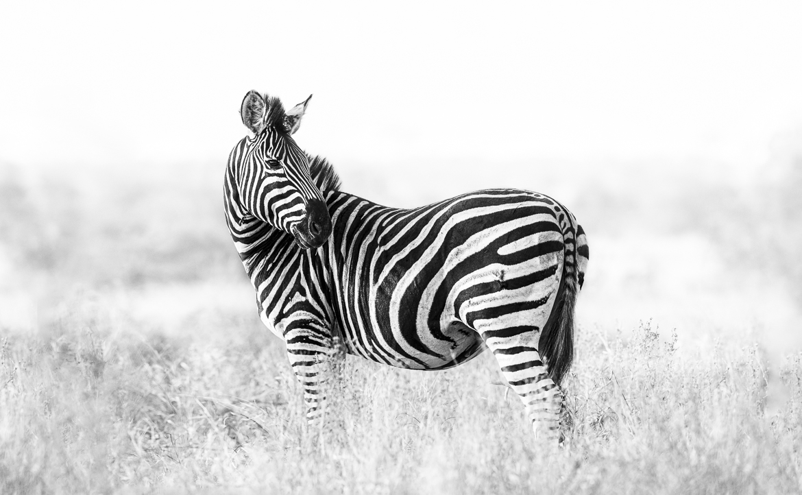 kruger July 2017-3244-Edit