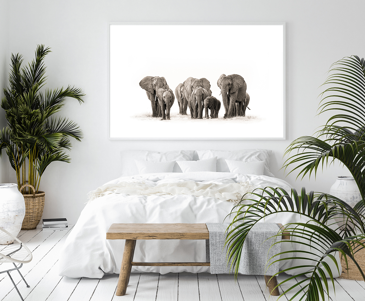 elephant herd