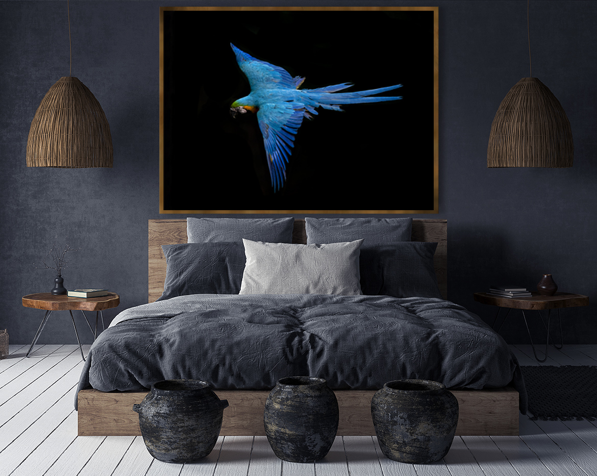 fly